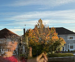 article thumbnail